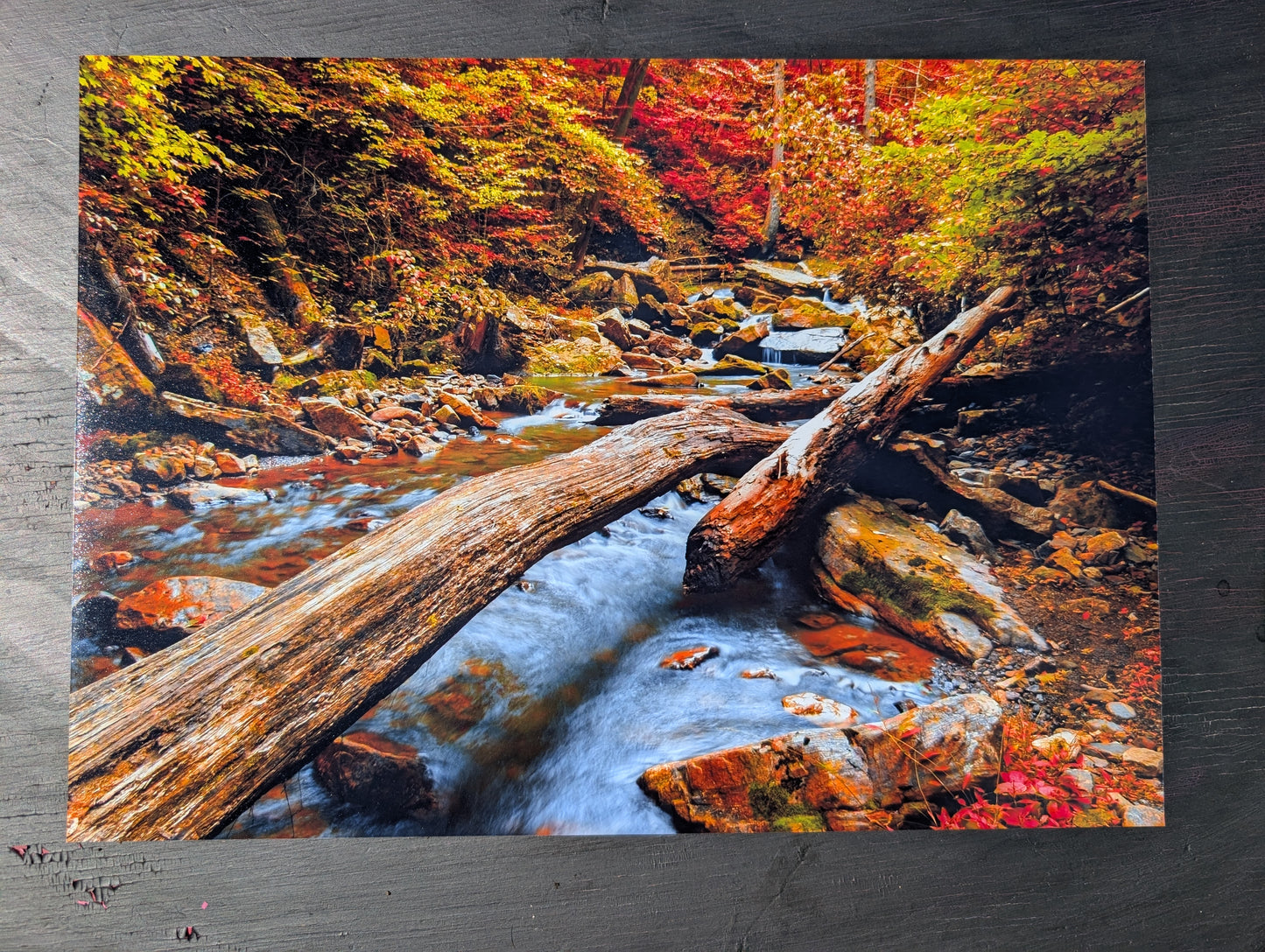 Fall Landscape print. Scenery. Mountain creek. Photography. 11x14 gloss photography print #12
