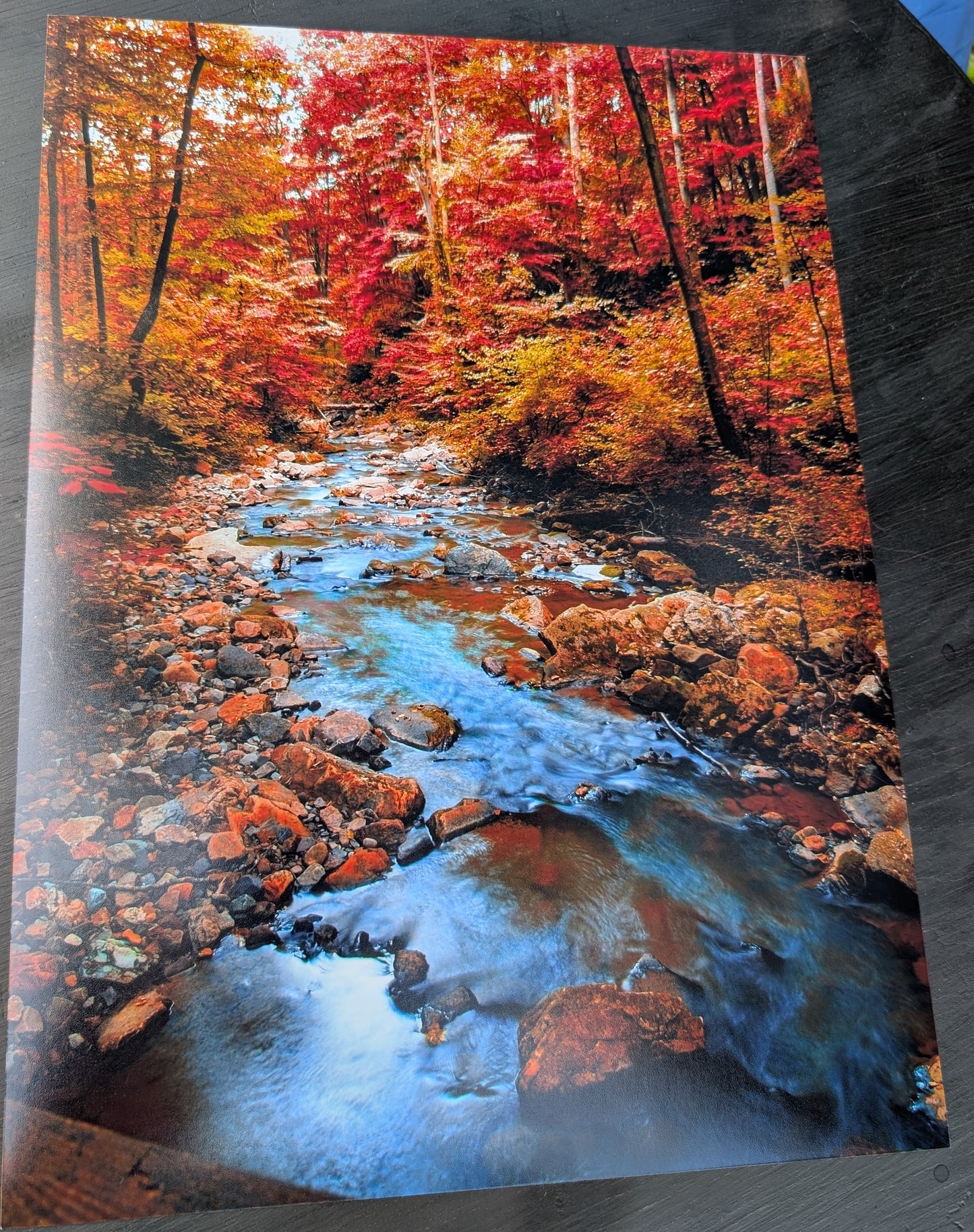 Fall Landscape print. Scenery. Mountain creek. Photography. 11x14 gloss photography print #16