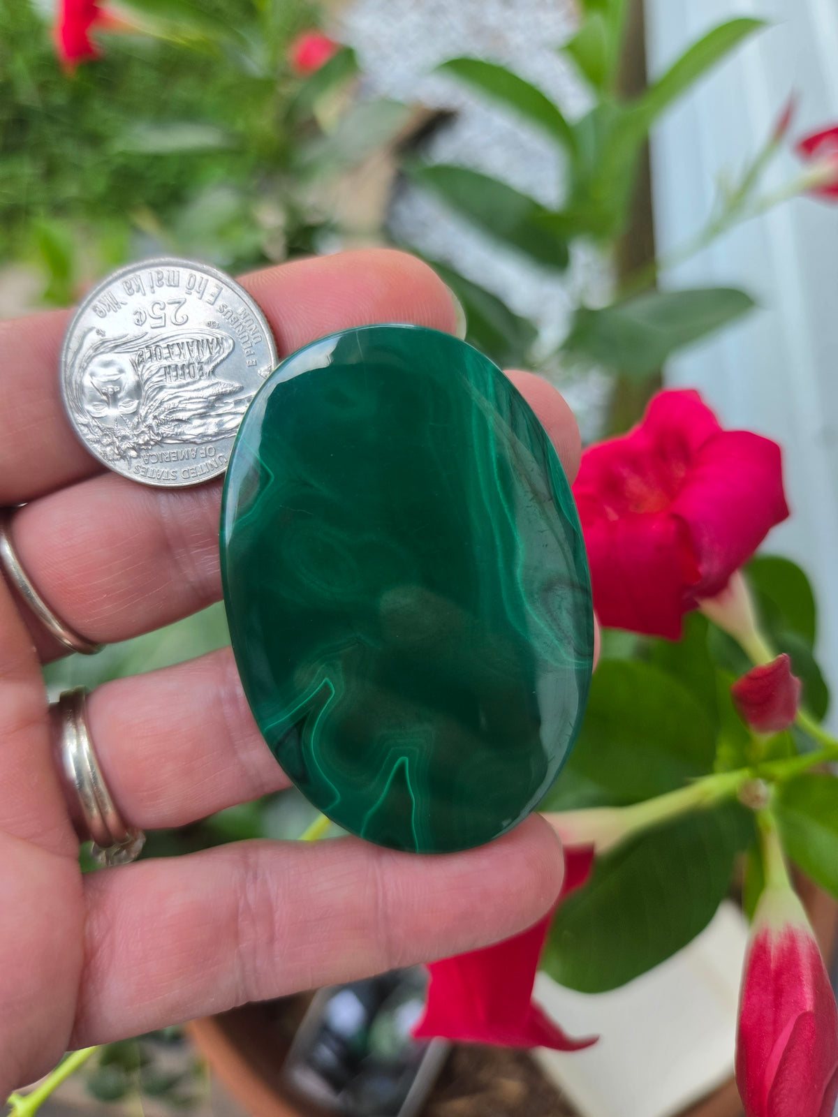 Malachite Oval Cabochon 57mm x 37mm. Large