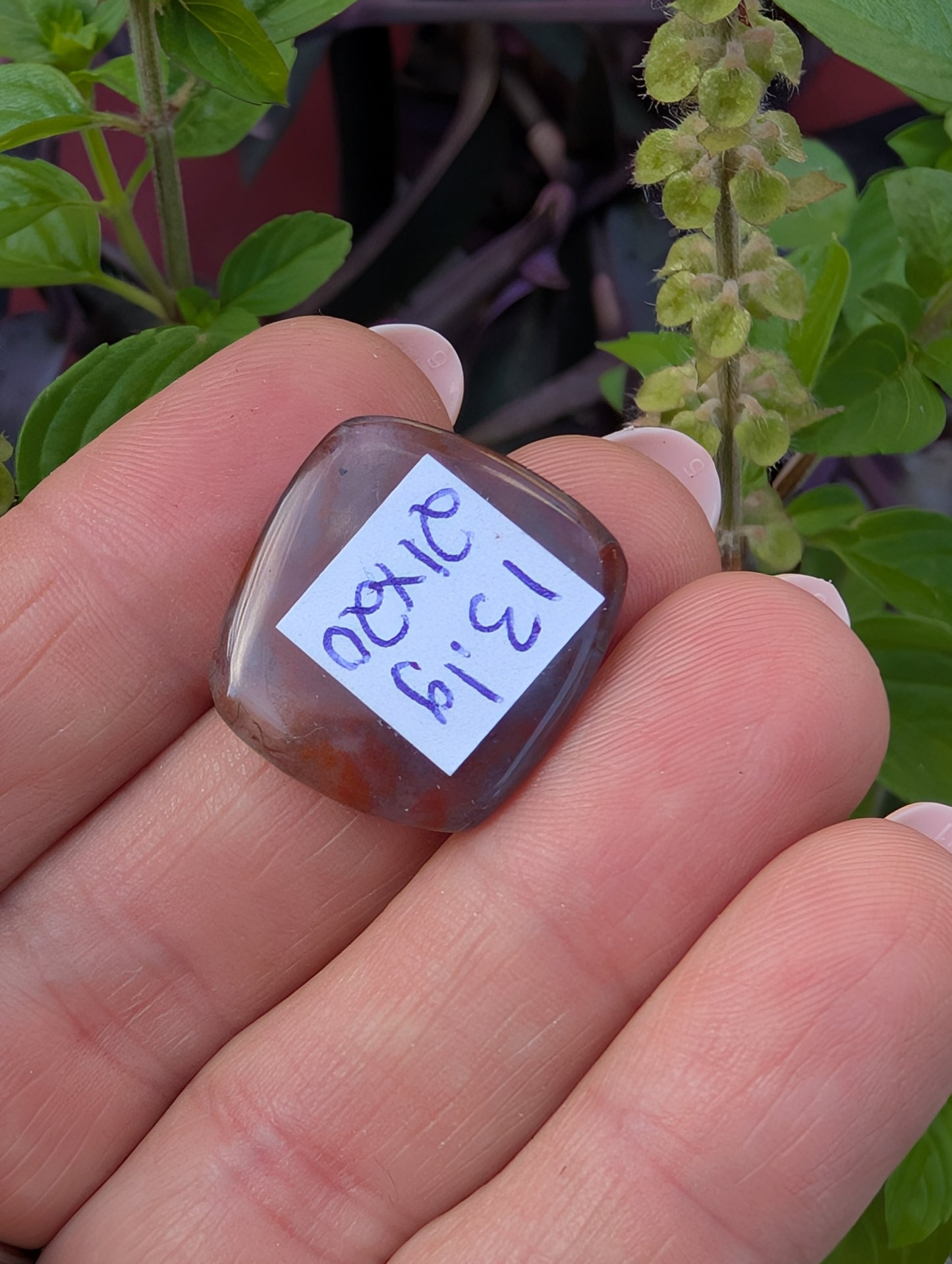 Moss agate cabochon. Square . Red. 21mm x 20mm
