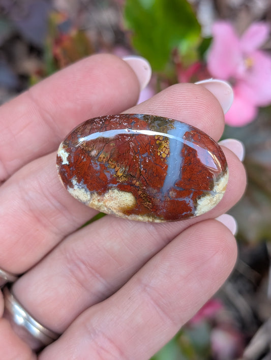 Plume agate cabochon. Oval . Red 36mm x 23mm