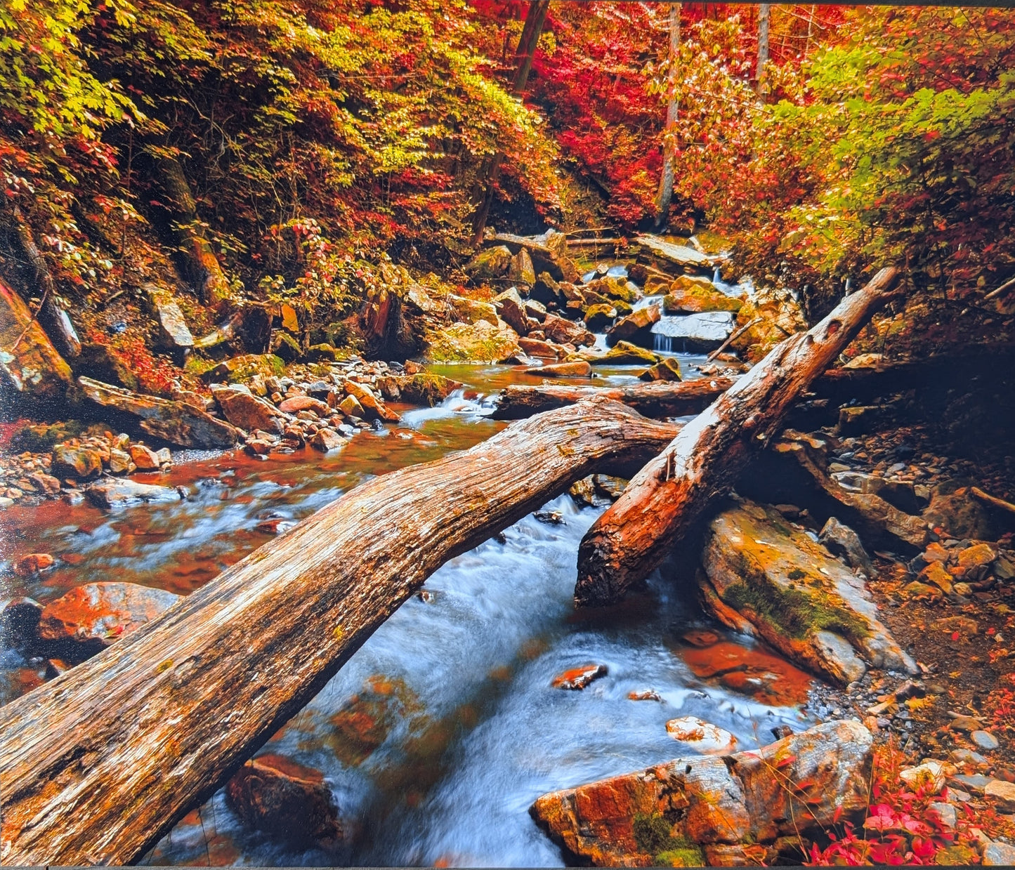 Fall Landscape print. Scenery. Mountain creek. Photography. 11x14 gloss photography print #12