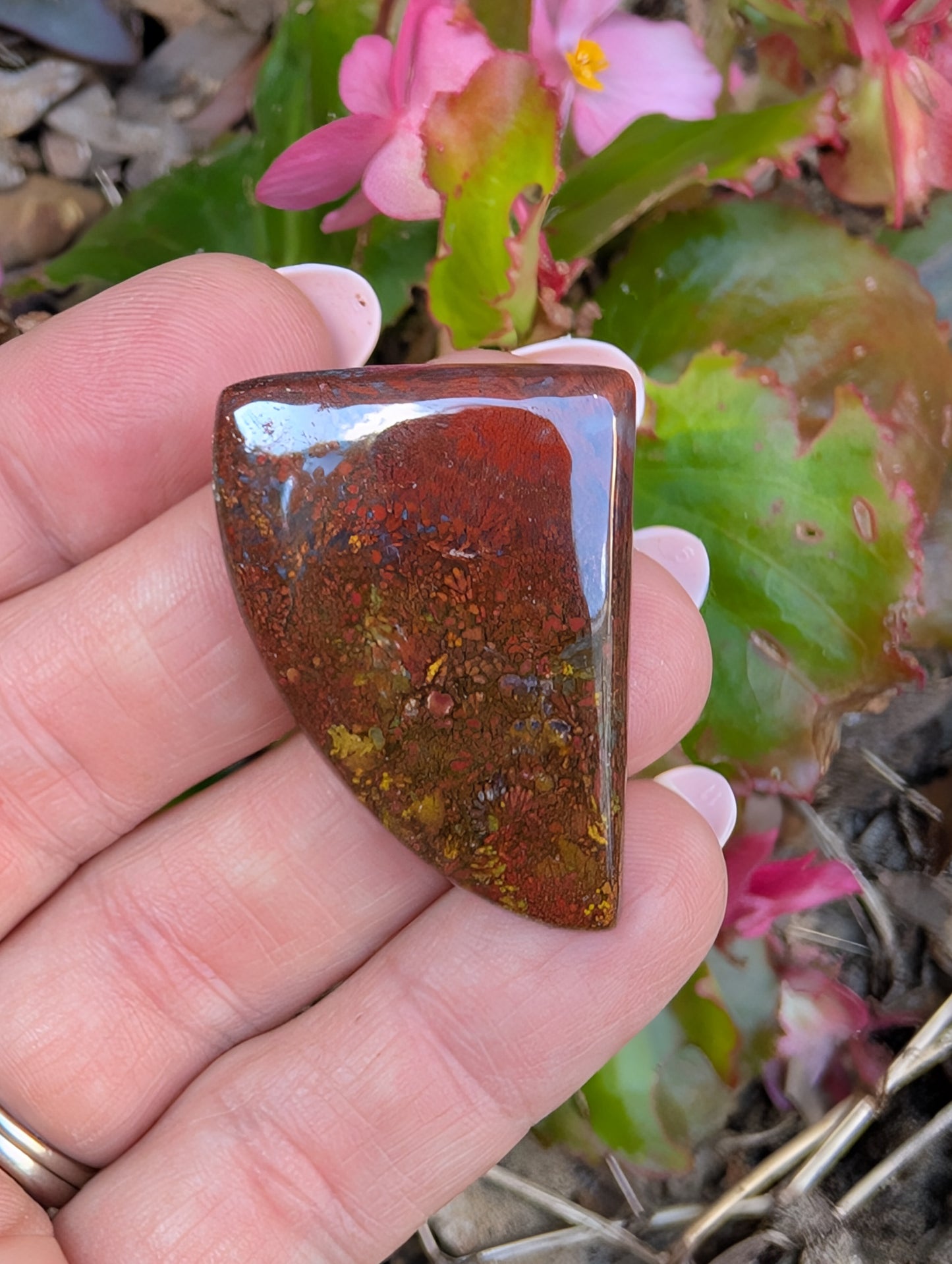 Plume agate cabochon. Freeform. Red 35mm x 25mm