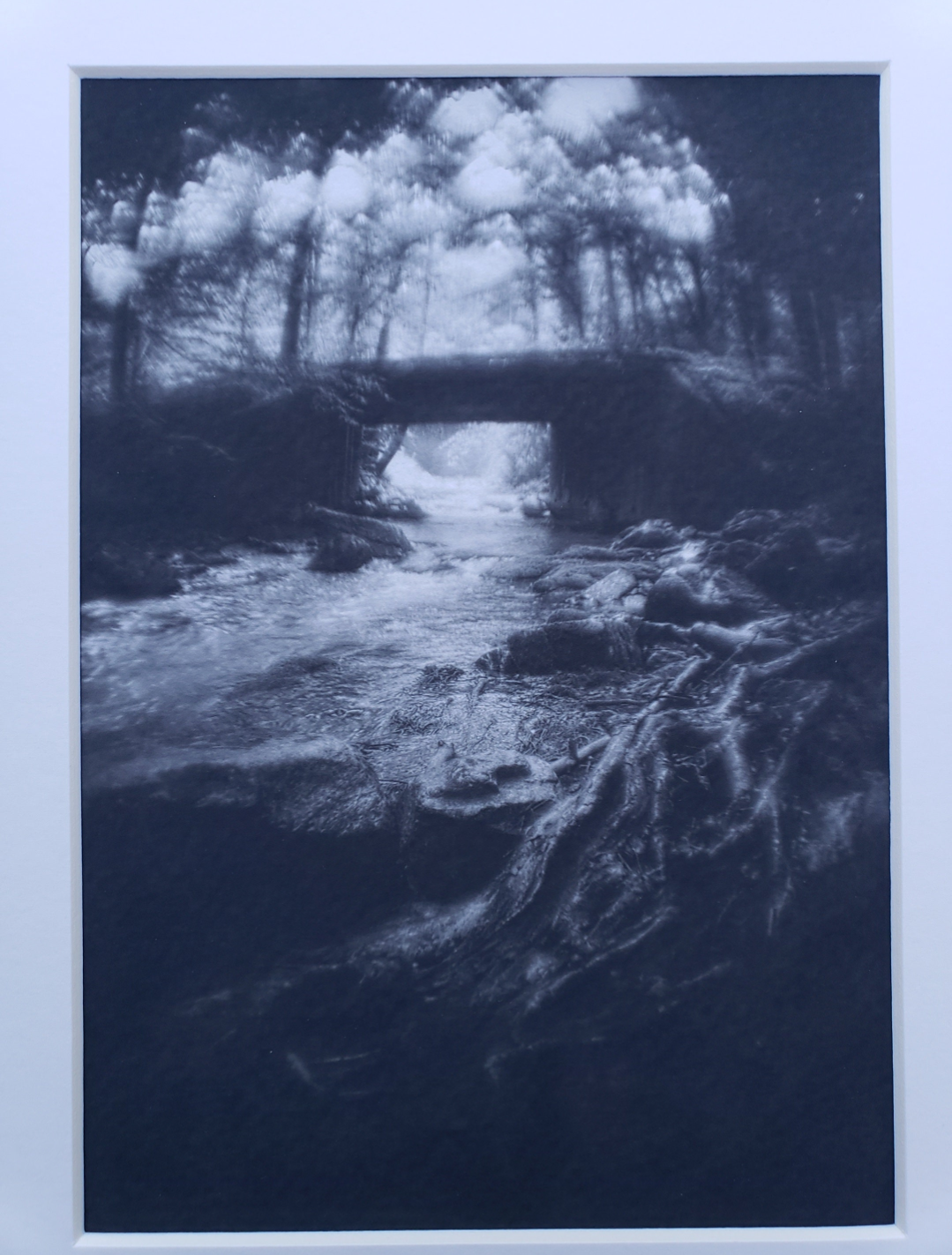 Black and white photography. Dark. Scenery.  Mysterious. Forest. Fog. Print. 5x7, 8x10 matte "Under the Bridge" #5