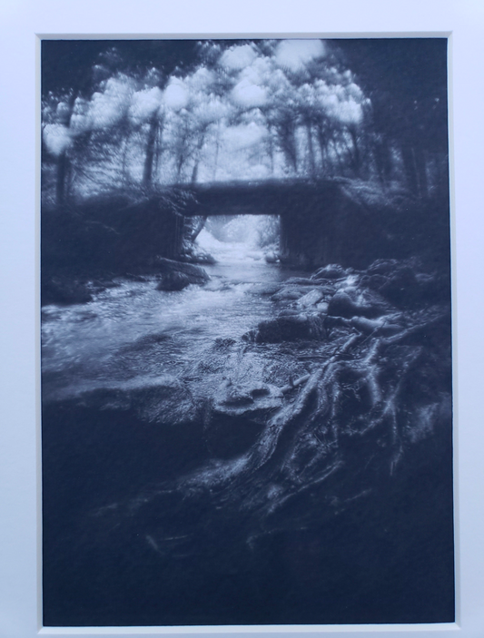 Black and white photography. Dark. Scenery.  Mysterious. Forest. Fog. Print. 5x7, 8x10 matte "Under the Bridge" #5