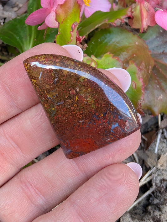 Plume agate cabochon. Freeform. Red 35mm x 25mm