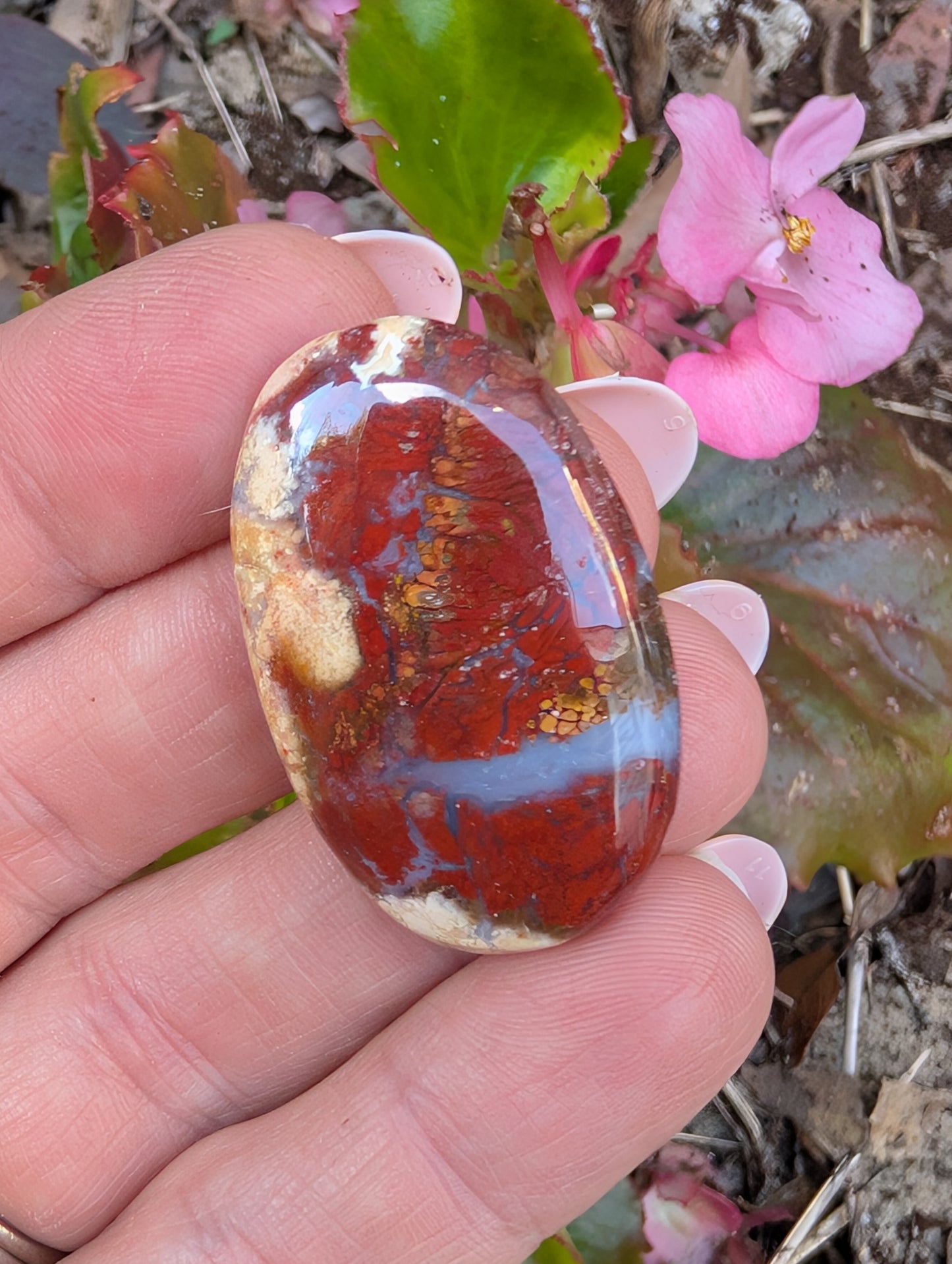 Plume agate cabochon. Oval . Red 36mm x 23mm