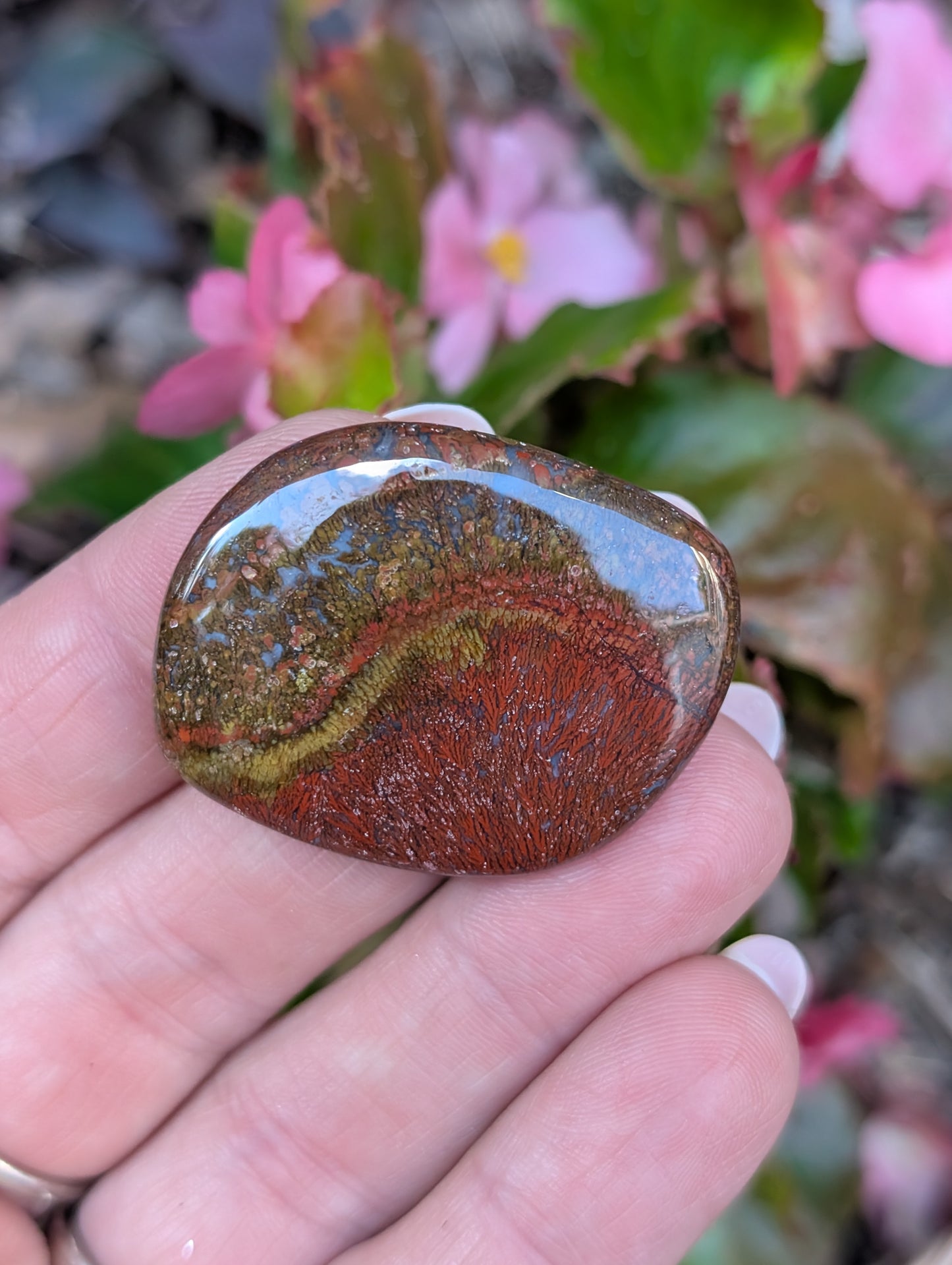 Plume agate cabochon. Freeform. Red 38mm x 30mm