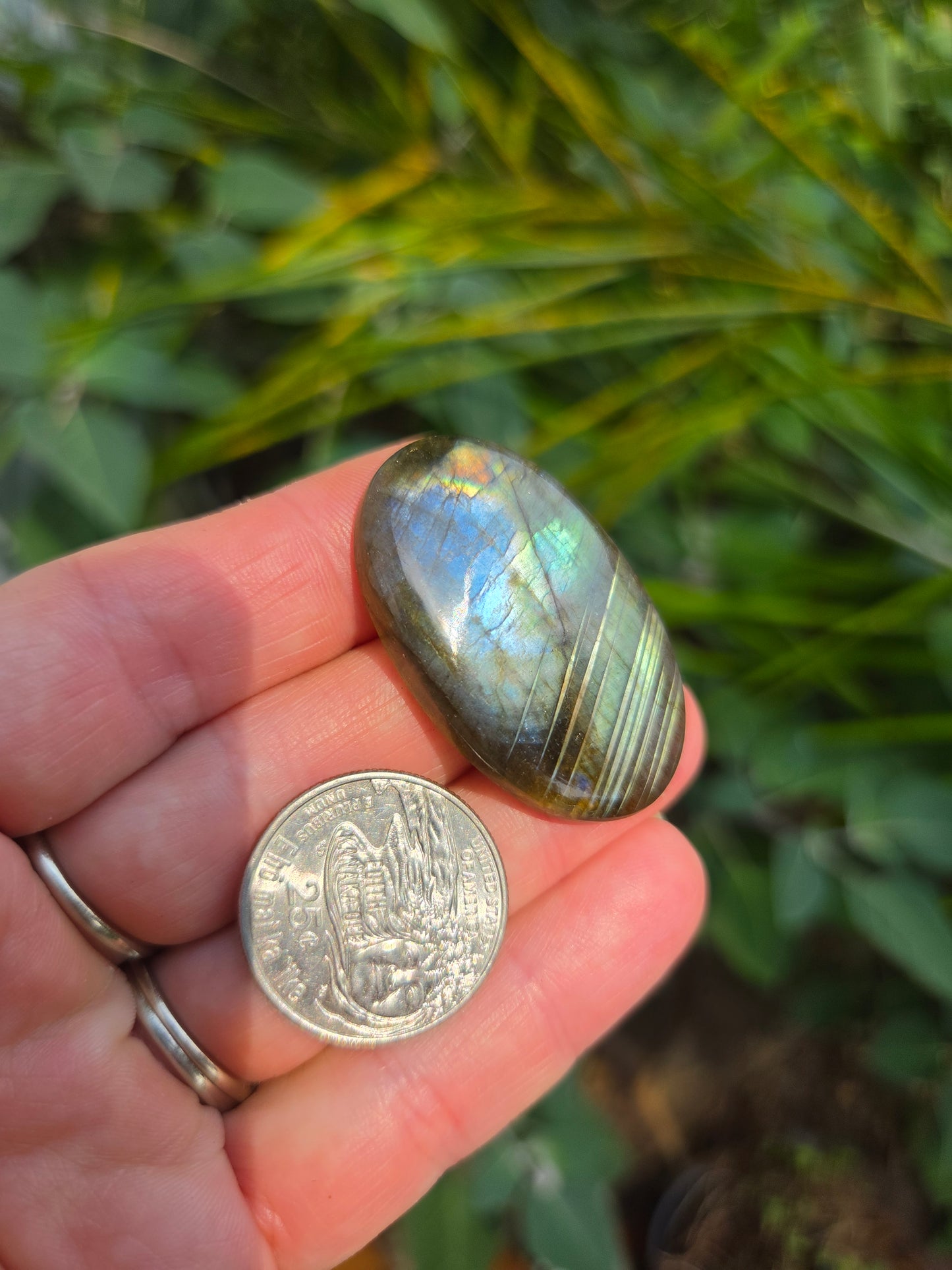 Labradorite Oval Cabochon 12.8g 40mm x 25mm Multi color flash