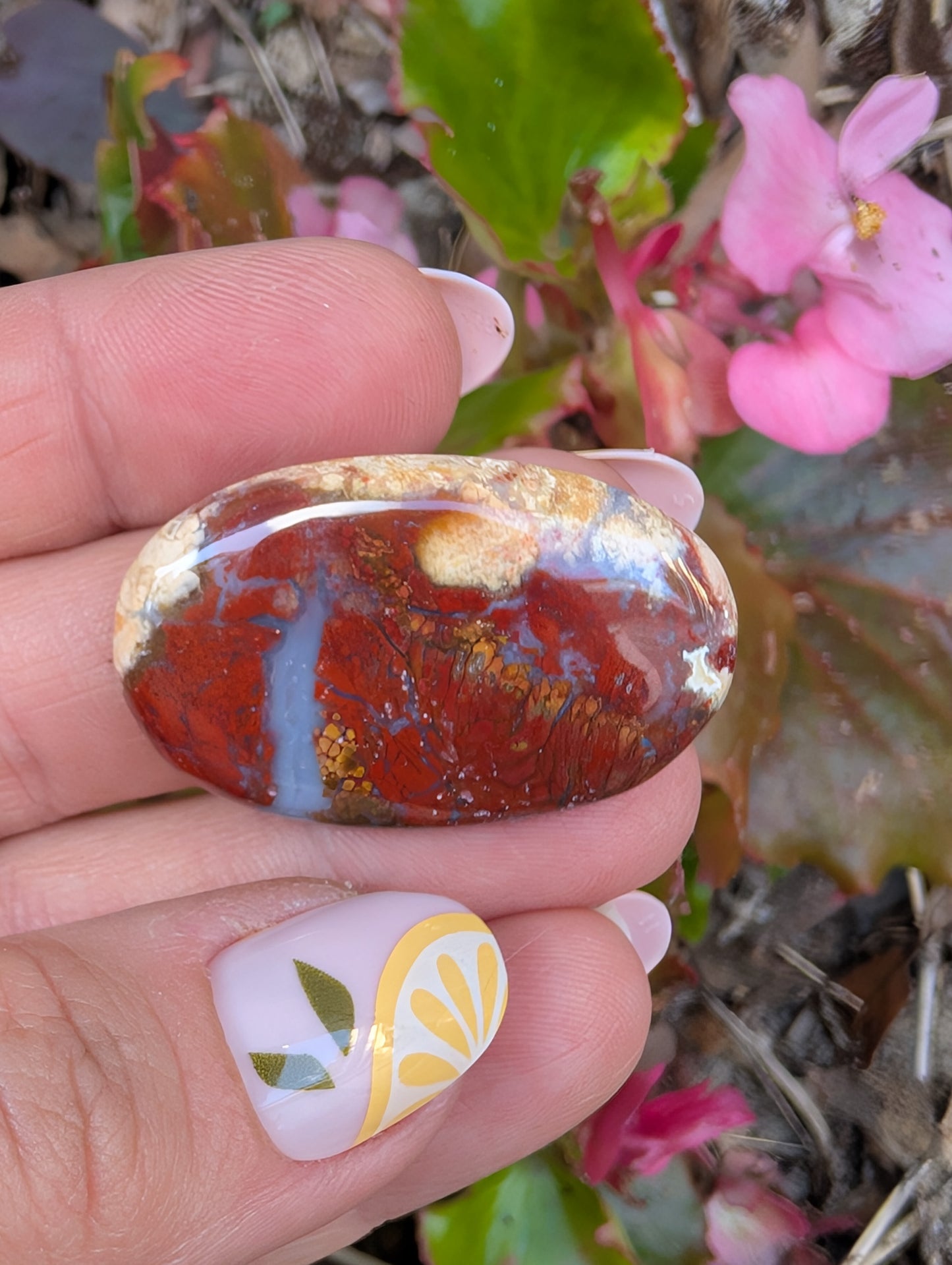 Plume agate cabochon. Oval . Red 36mm x 23mm