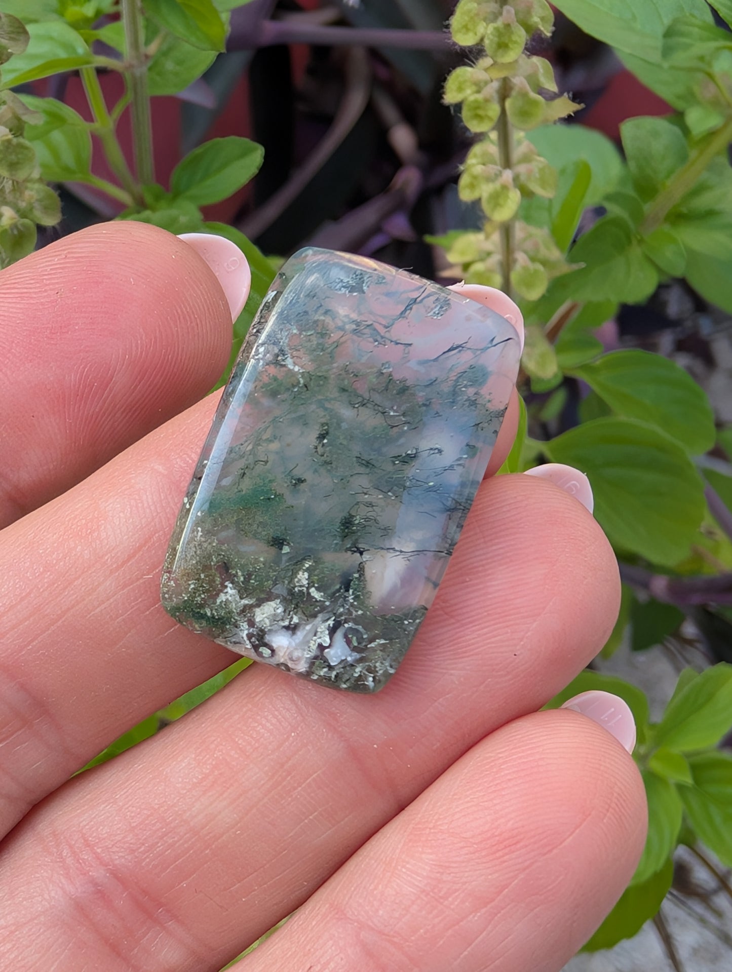 Moss agate cabochon. Rectangle . Green  27mm x 18mm