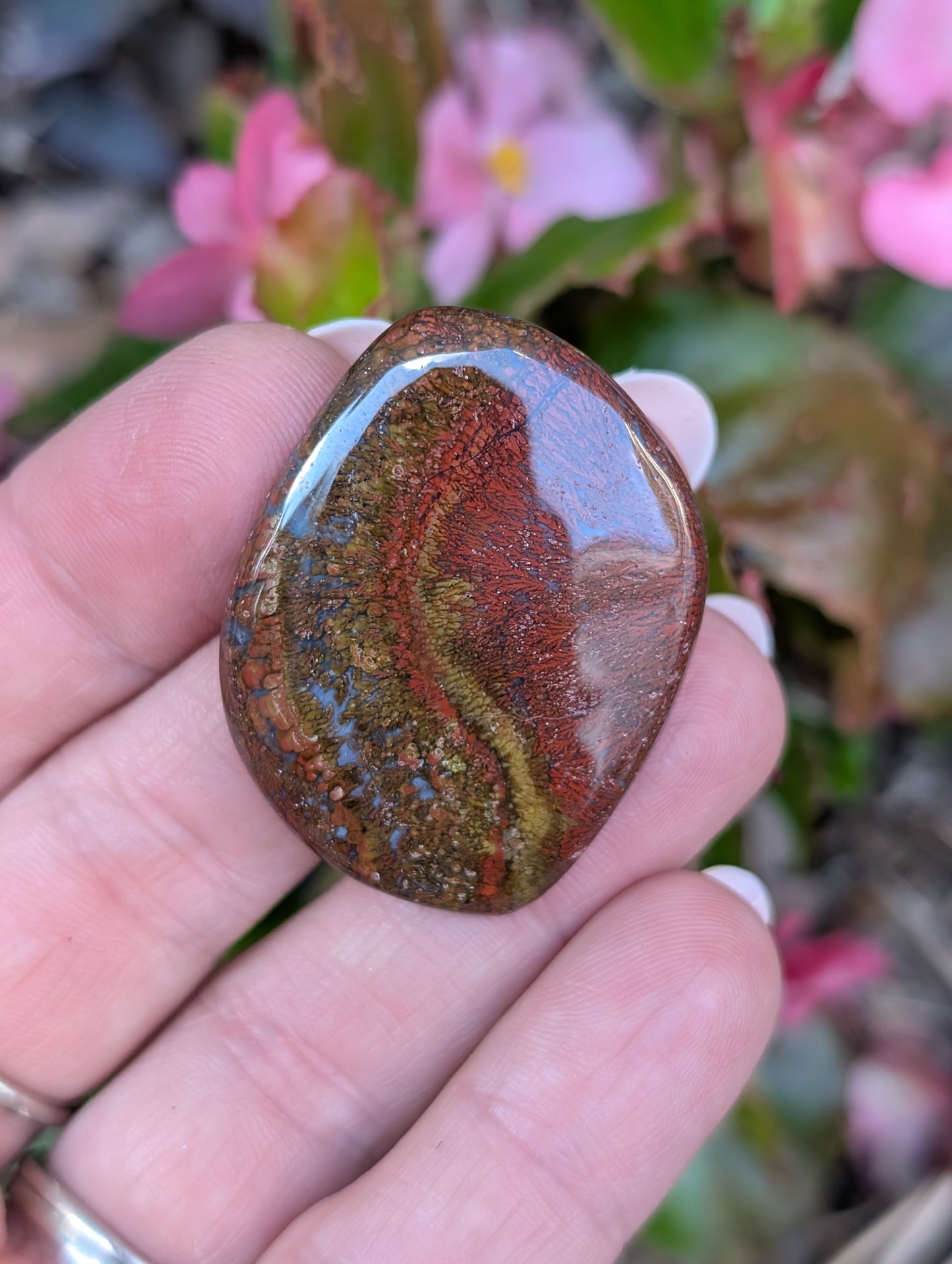 Plume agate cabochon. Freeform. Red 38mm x 30mm
