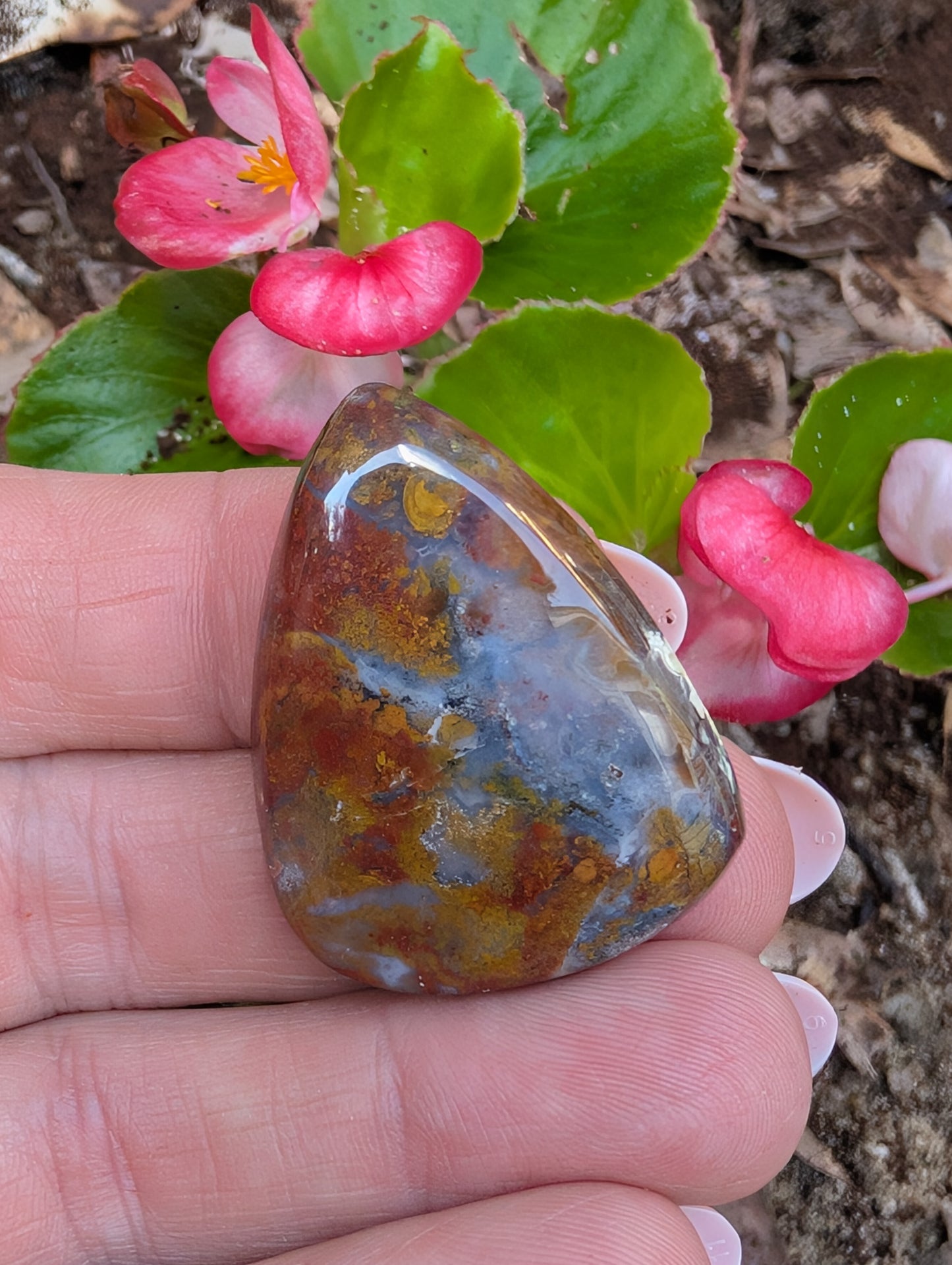 Plume agate cabochon. Tear drop . Red 36mm x 27mm