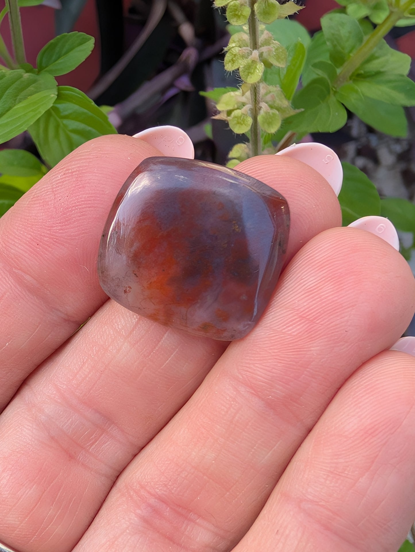 Moss agate cabochon. Square . Red. 21mm x 20mm