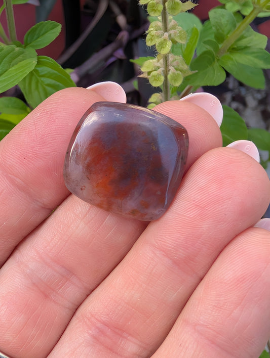 Moss agate cabochon. Square . Red. 21mm x 20mm