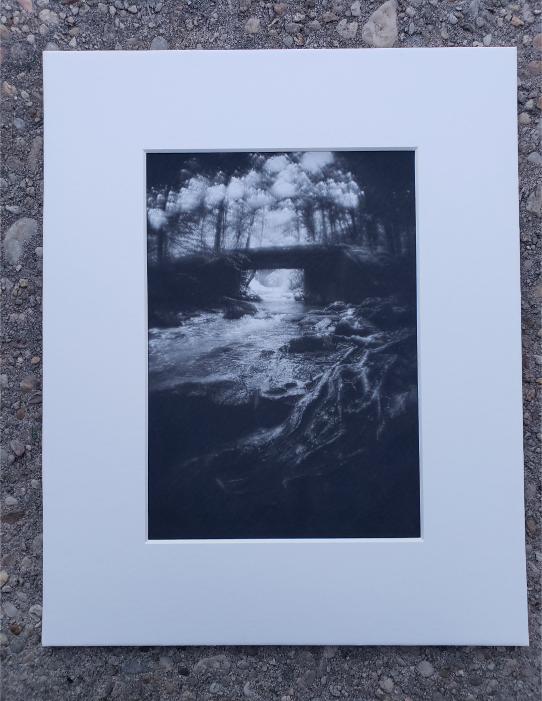 Black and white photography. Dark. Scenery.  Mysterious. Forest. Fog. Print. 5x7, 8x10 matte "Under the Bridge" #5