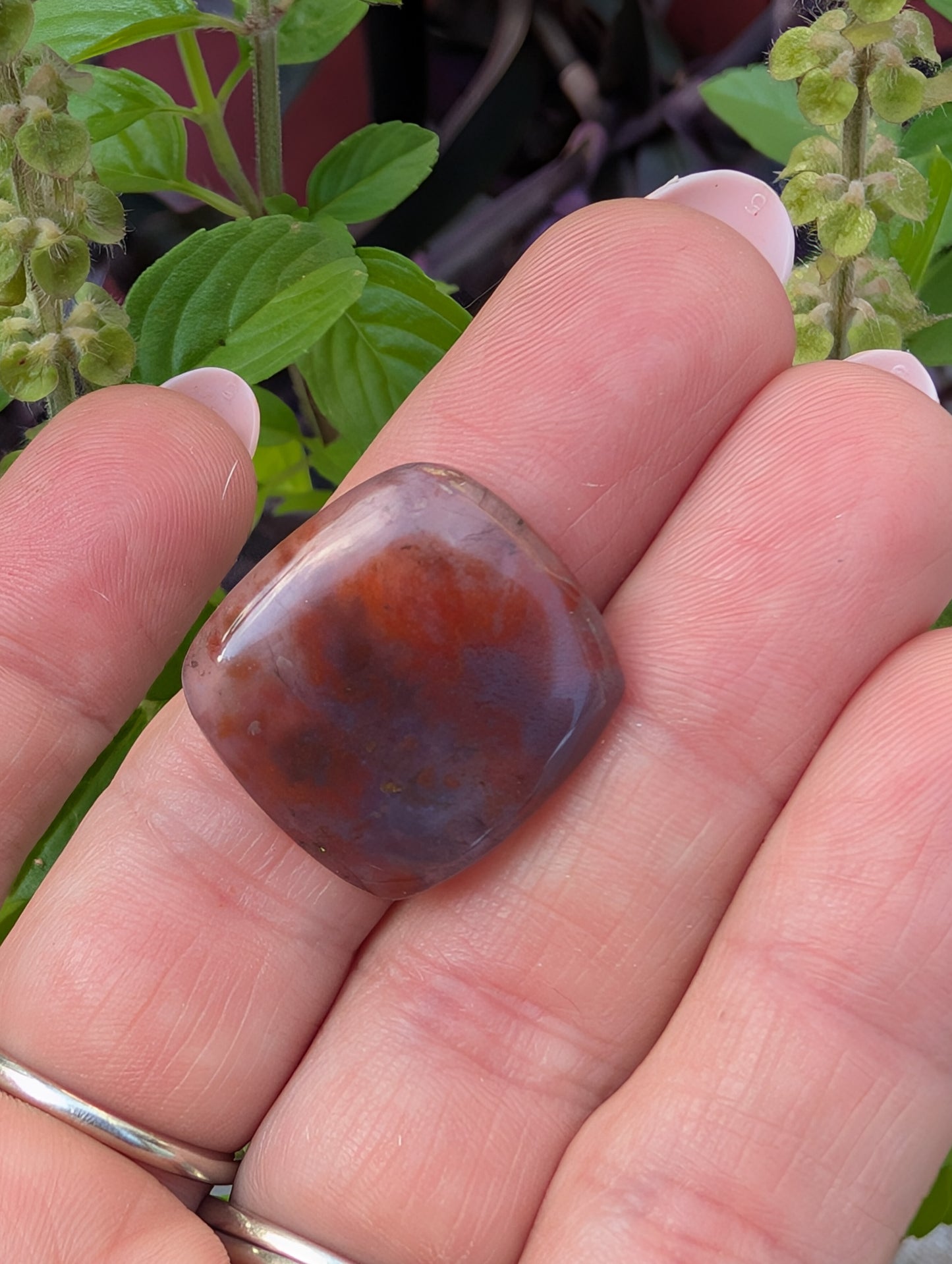 Moss agate cabochon. Square . Red. 21mm x 20mm