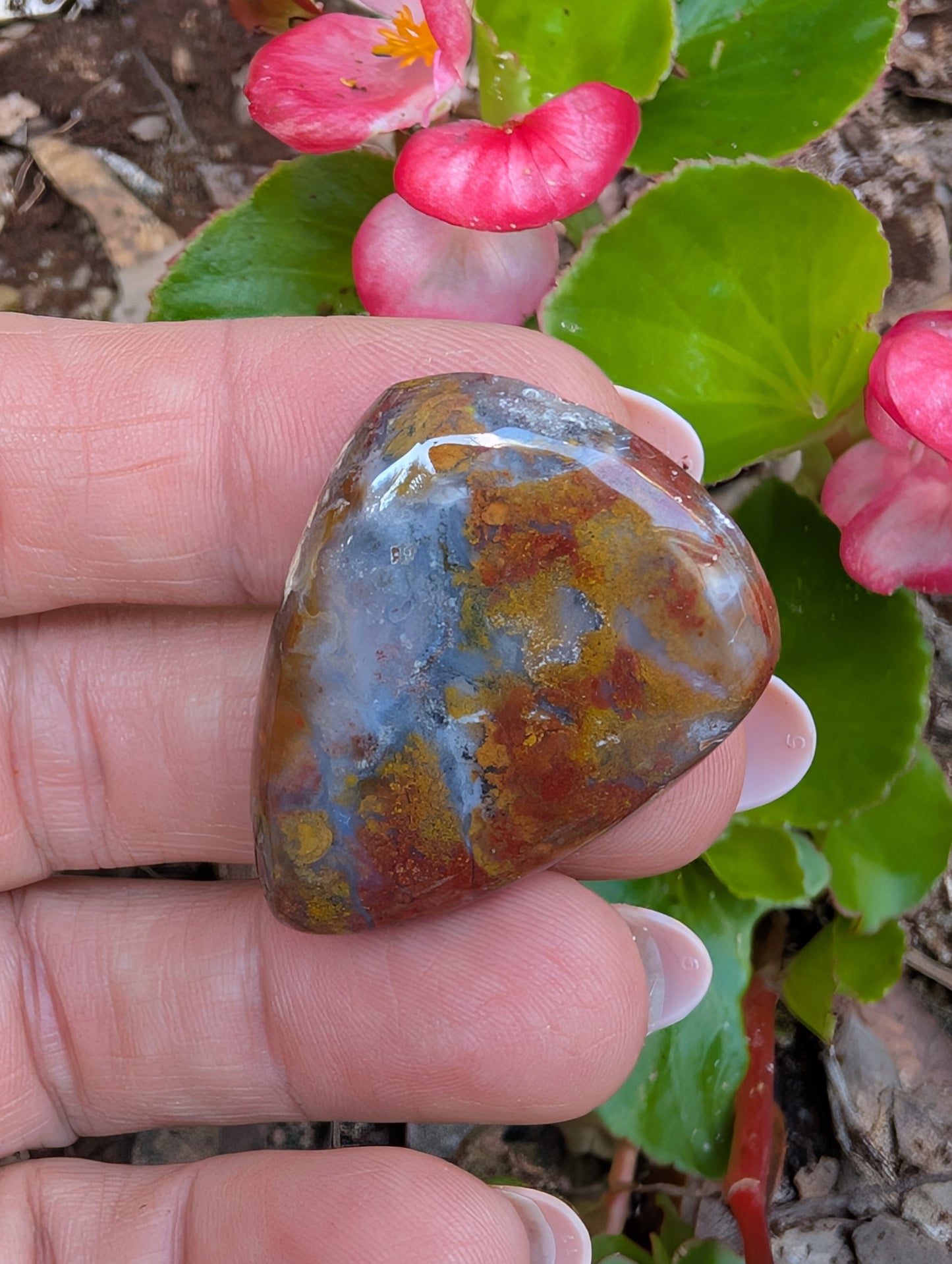 Plume agate cabochon. Tear drop . Red 36mm x 27mm