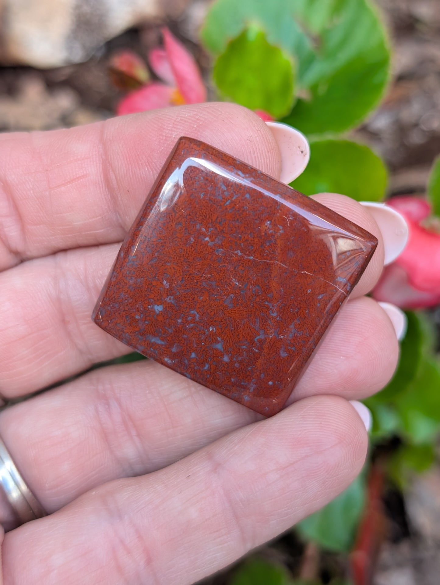 Plume agate cabochon. Square. Red 30mm