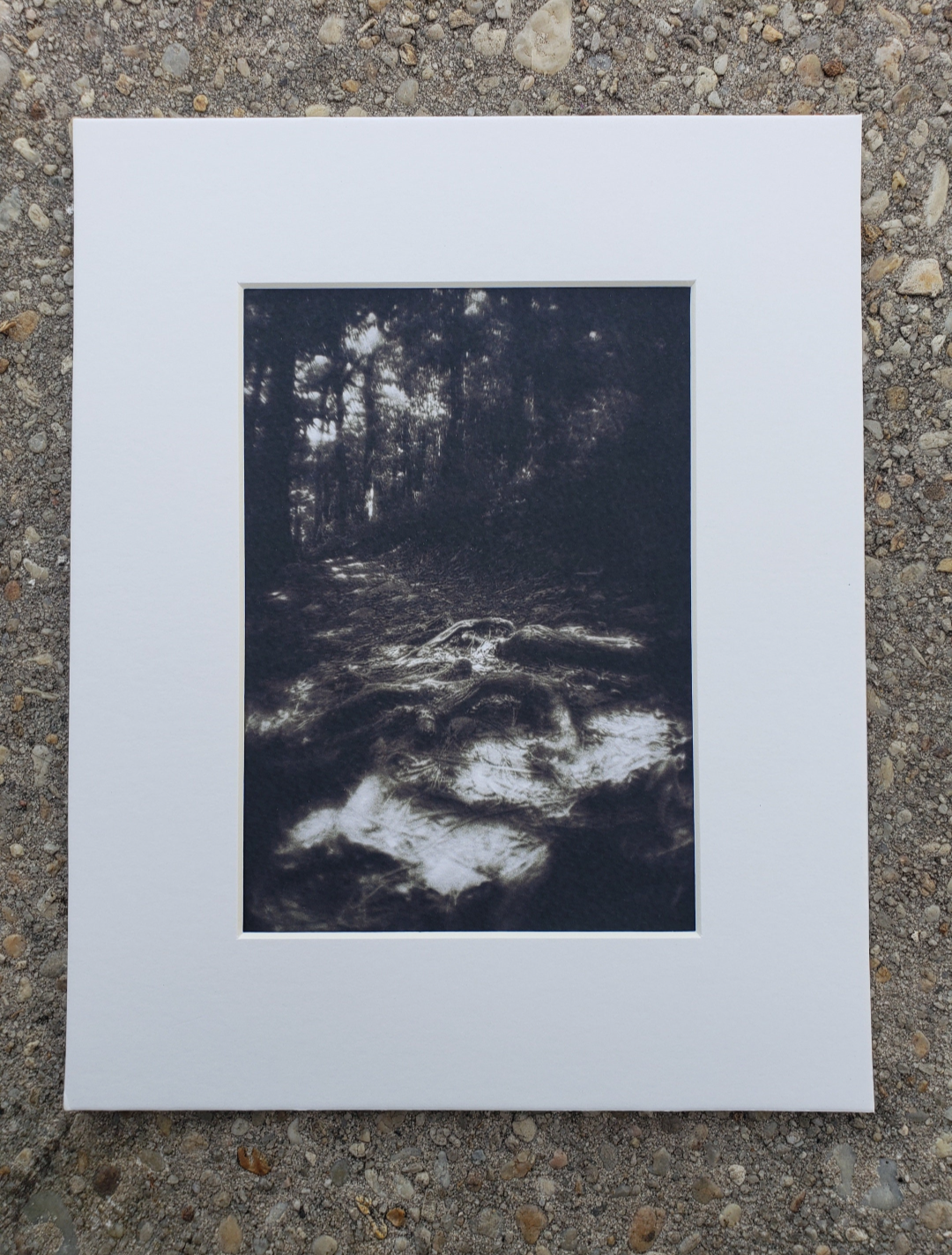 Black and white photography. Dark. Scenery.  Mysterious. Forest. Print. 5x7, 8x10 matte "Trail to paradise" #7