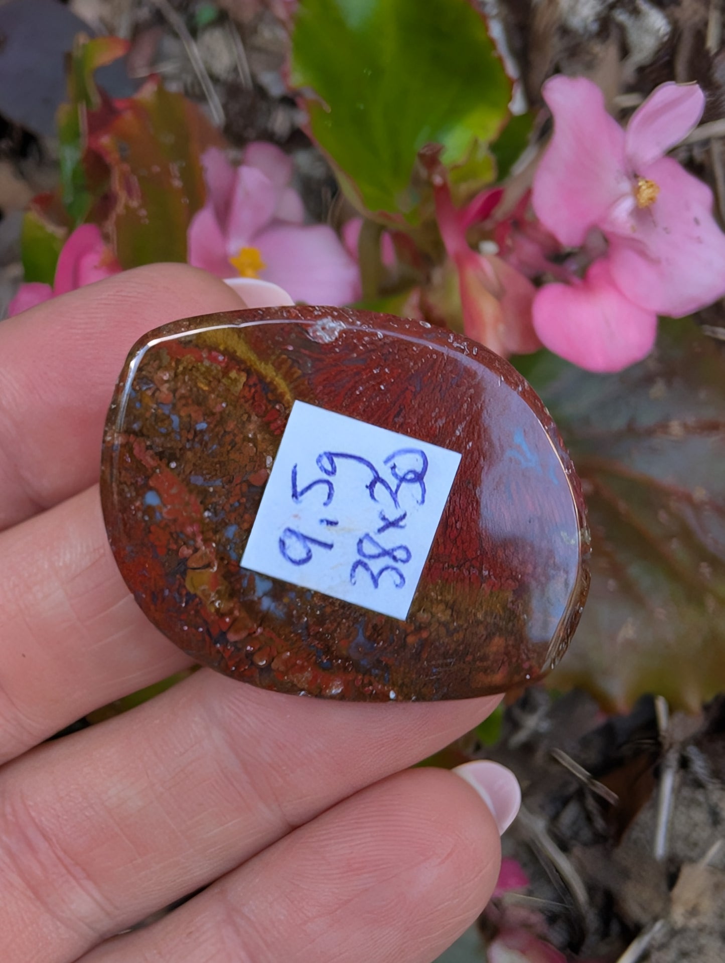 Plume agate cabochon. Freeform. Red 38mm x 30mm