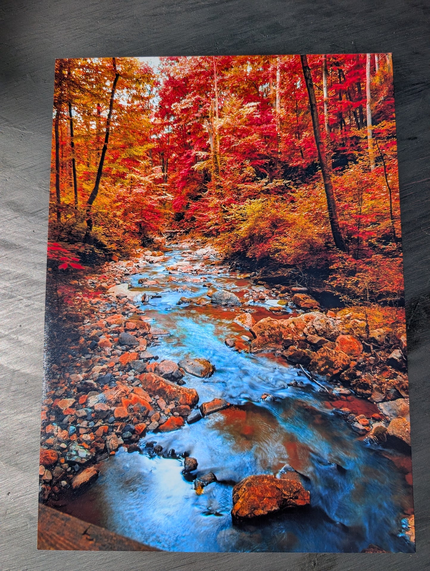 Fall Landscape print. Scenery. Mountain creek. Photography. 11x14 gloss photography print #16