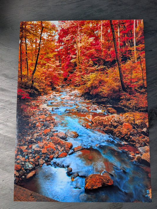Fall Landscape print. Scenery. Mountain creek. Photography. 11x14 gloss photography print #16