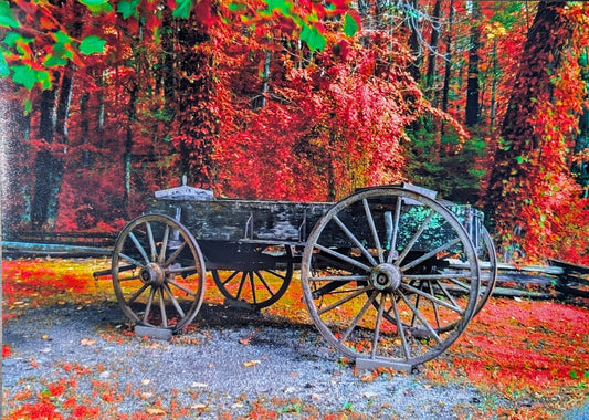 Fall Landscape print. Scenery. Wagon. Photography. 11x14 gloss photography print #14