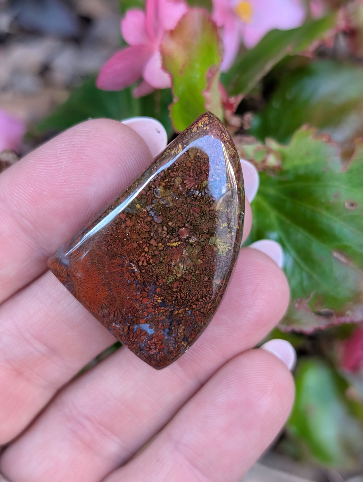 Plume agate cabochon. Freeform. Red 35mm x 25mm