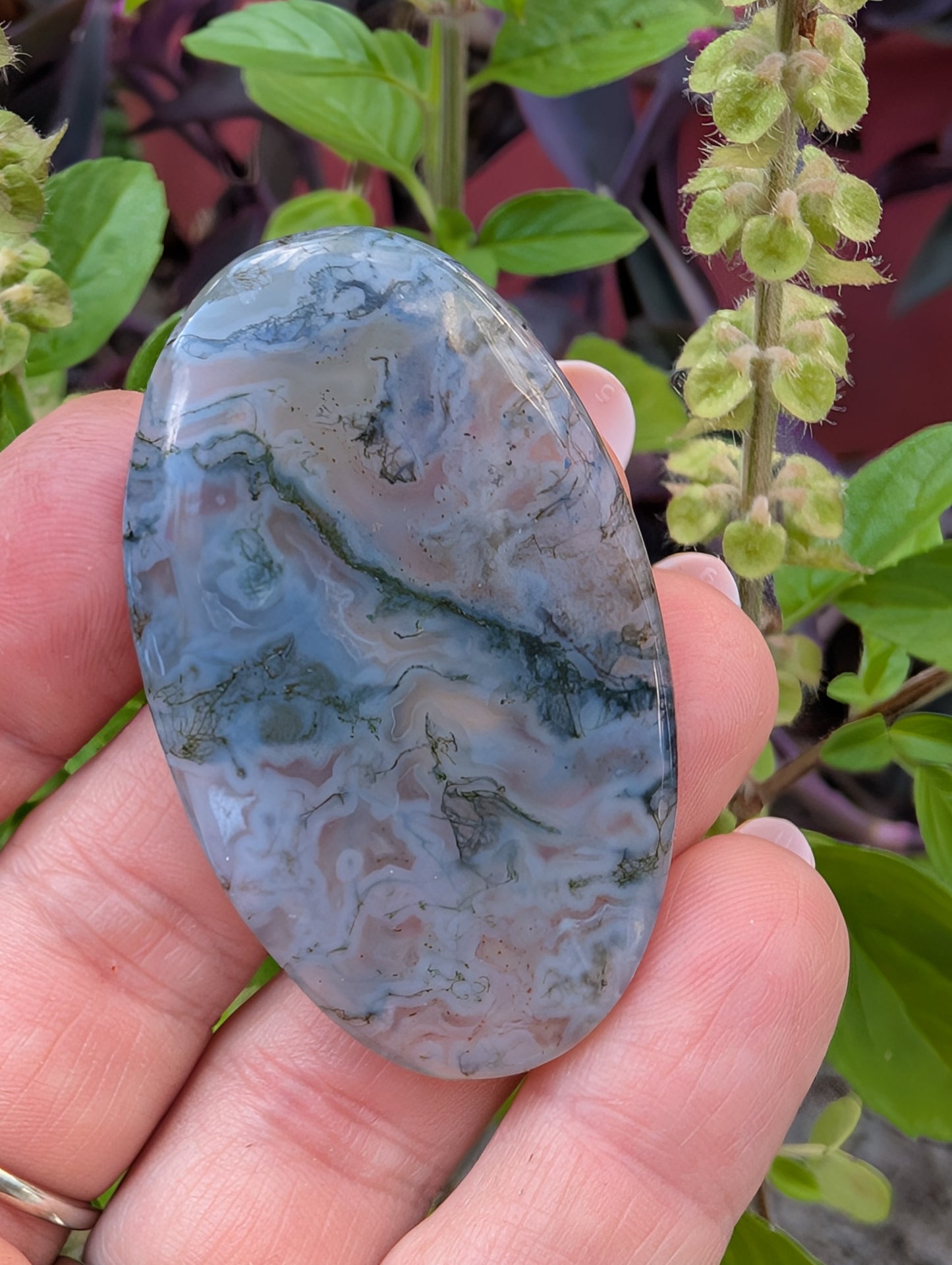 Moss agate cabochon. Large Oval. Green. 53mm x 31mm