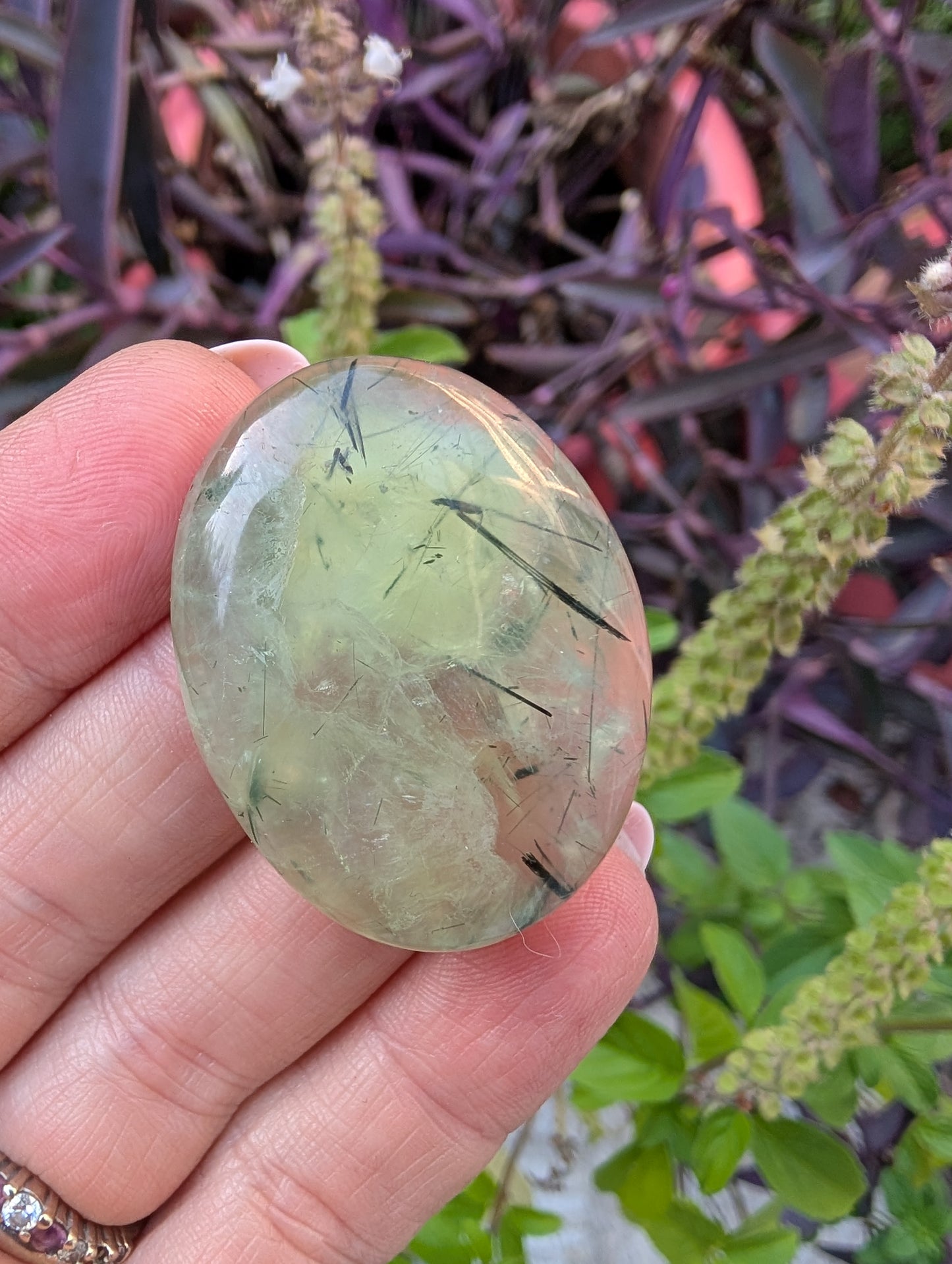 Phrenite cabochon. Oval . Green 38mm x 29mm