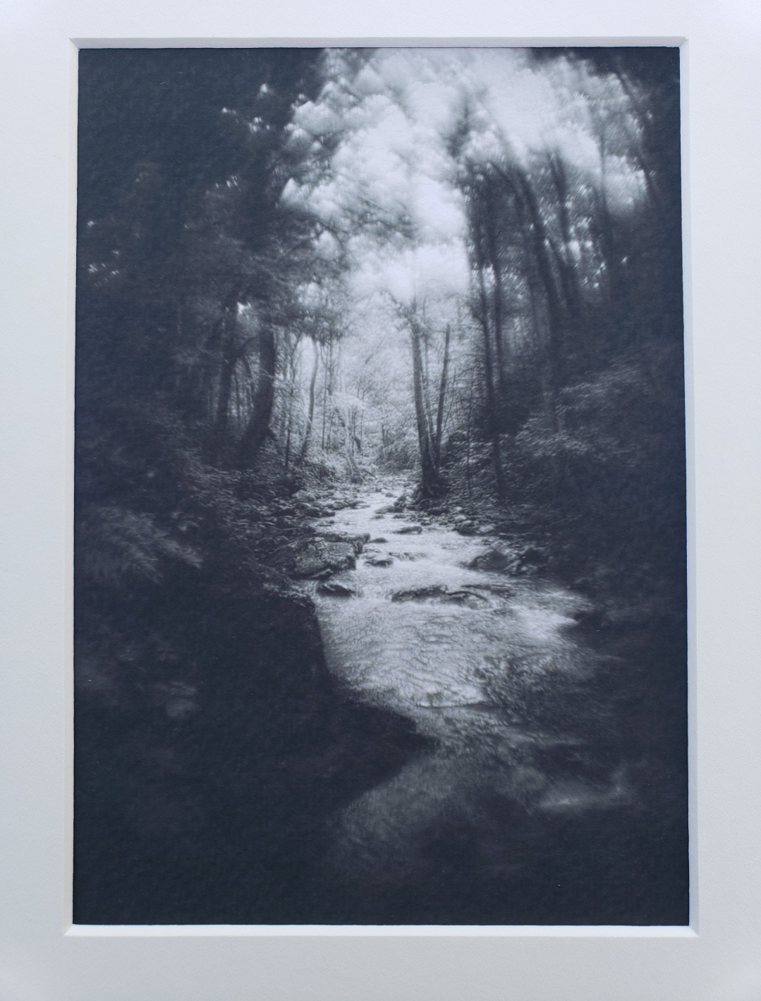 Black and white photography. Dark. Scenery.  Mysterious. Forest. Fog. Print. 5x7, 8x10 matte "Mystic Creek" #8