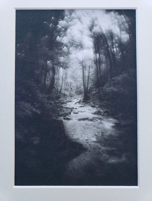 Black and white photography. Dark. Scenery.  Mysterious. Forest. Fog. Print. 5x7, 8x10 matte "Mystic Creek" #8