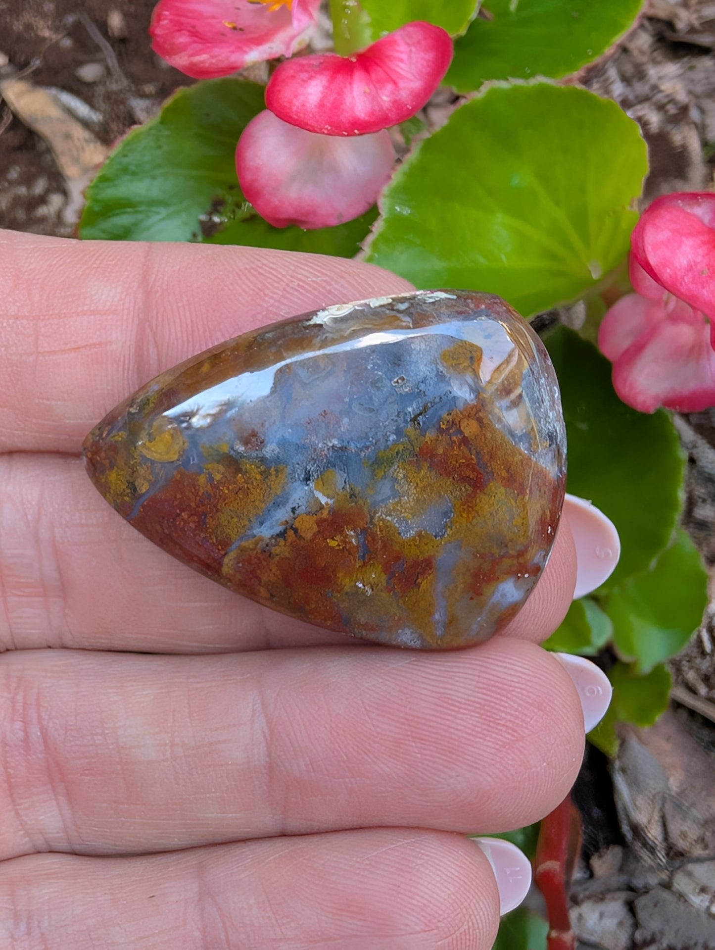 Plume agate cabochon. Tear drop . Red 36mm x 27mm