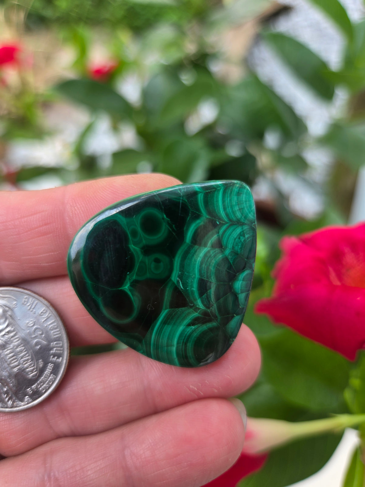 Malachite Tear Drop cabochon 35mm x 34mm