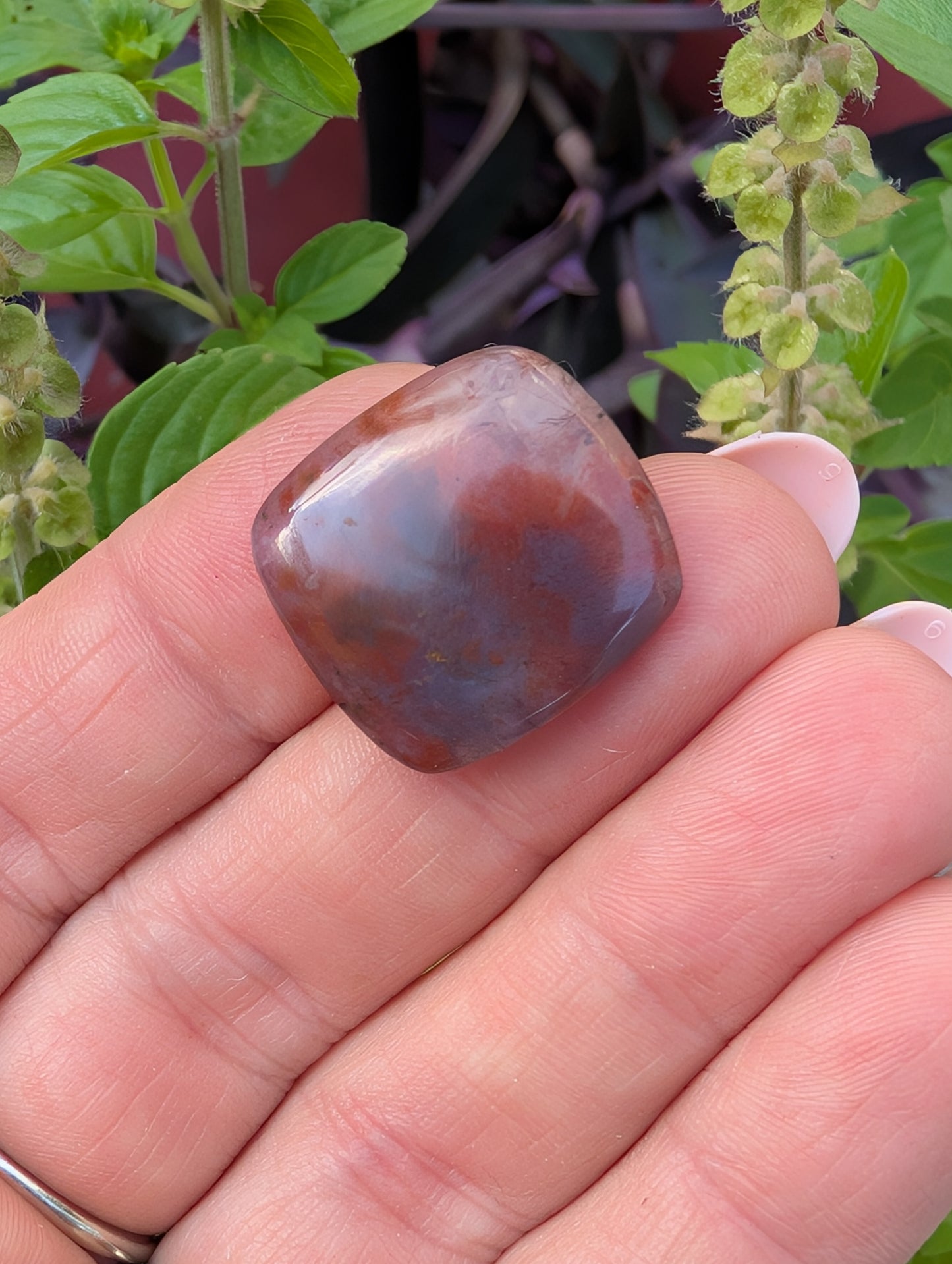 Moss agate cabochon. Square . Red. 21mm x 20mm