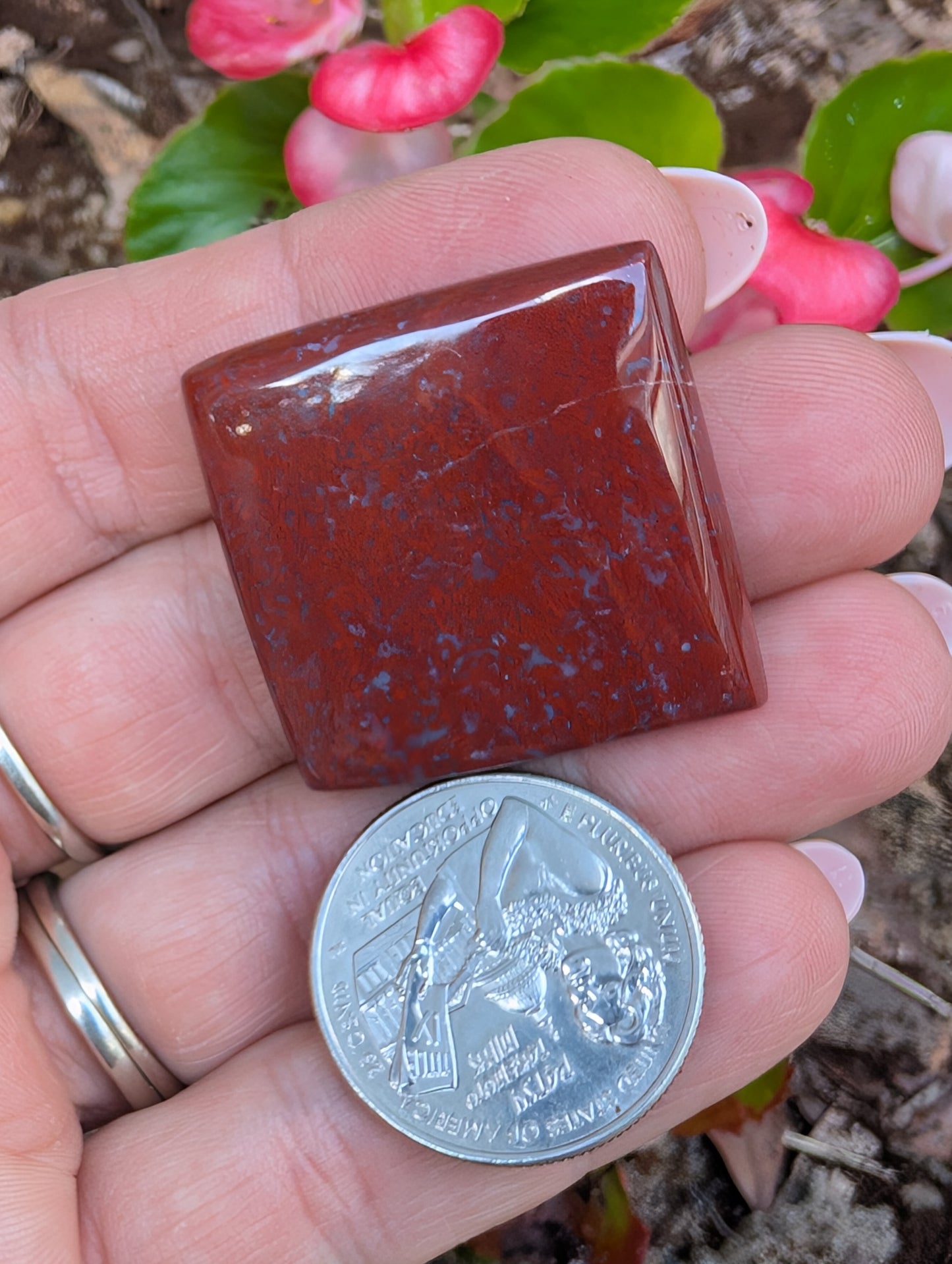 Plume agate cabochon. Square. Red 30mm